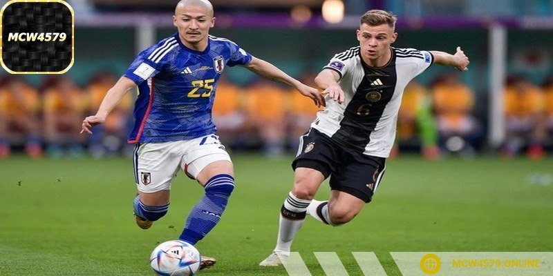 Bet thủ nên so sánh nhiều nguồn tin khác nhau